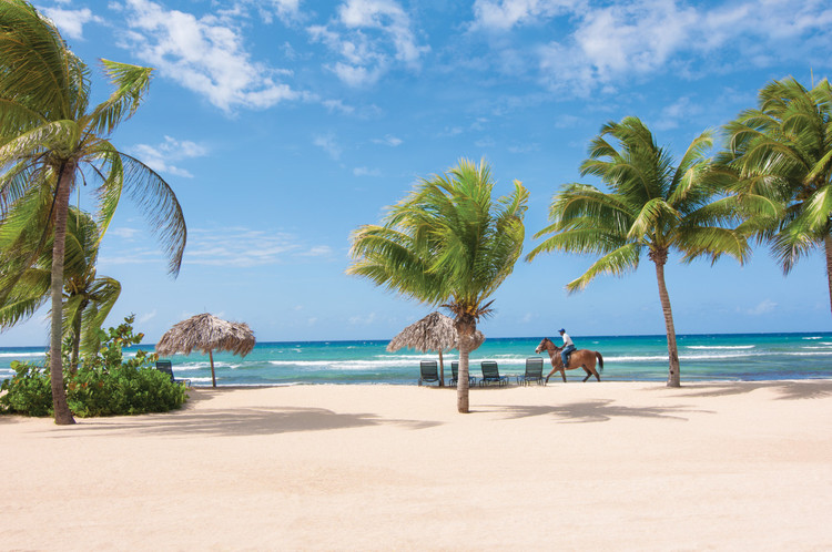 【游客照大晒场】每张图片代表一个最值得铭刻的牙买加-世界游网World Travel Online