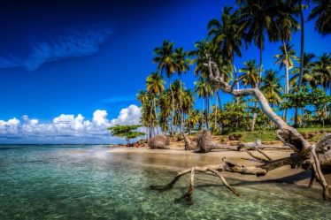 壁纸 加勒比海，棕榈树，海滩，海洋，云彩，多米尼加共和国 1920x1080 Full HD 2K 高清壁纸, 图片, 照片